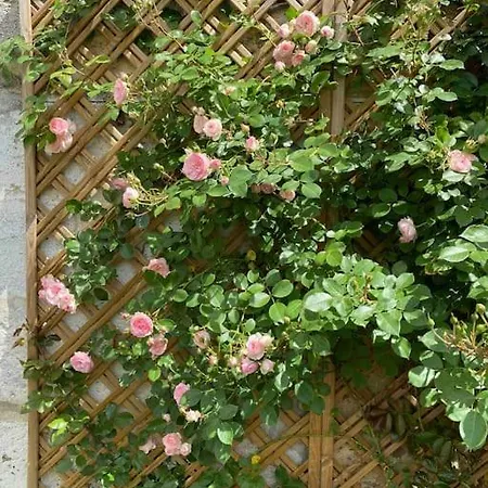 Appartement Climatise De Charme Cote Bordeaux Bègles