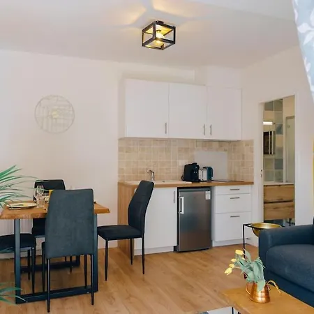 Appartement Appartement Climatise De Charme Cote Bordeaux Bègles