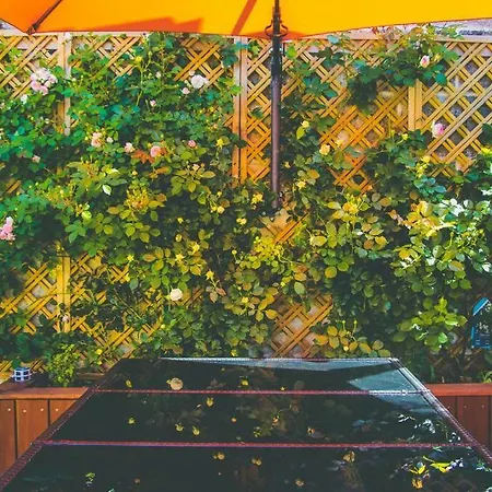 Appartement Climatise De Charme Cote Bordeaux *